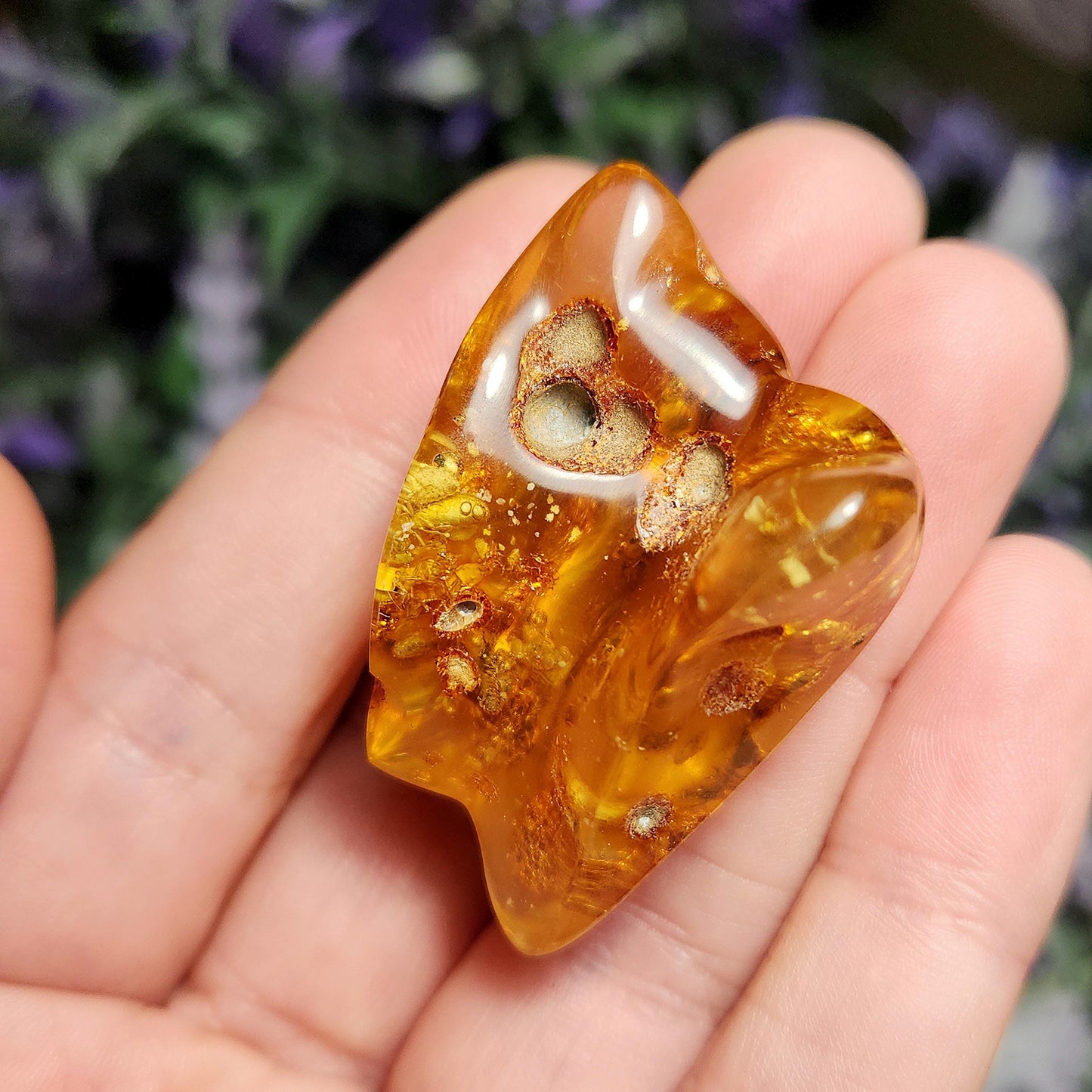 MOVING Enhydro AMBER with Bugs
