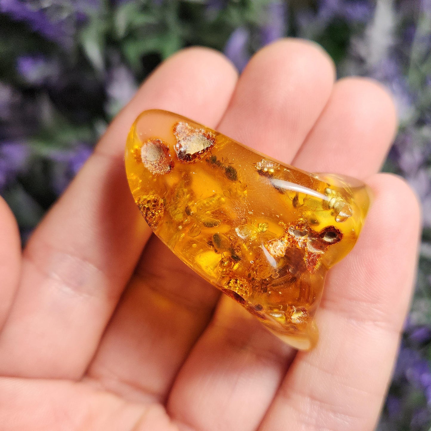 MOVING Enhydro AMBER with Bugs