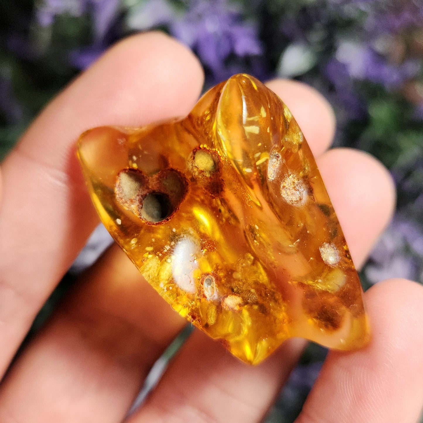 MOVING Enhydro AMBER with Bugs