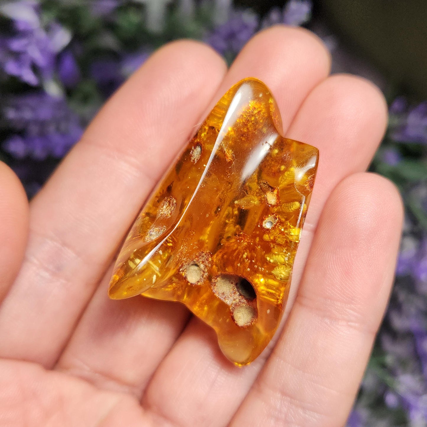 MOVING Enhydro AMBER with Bugs