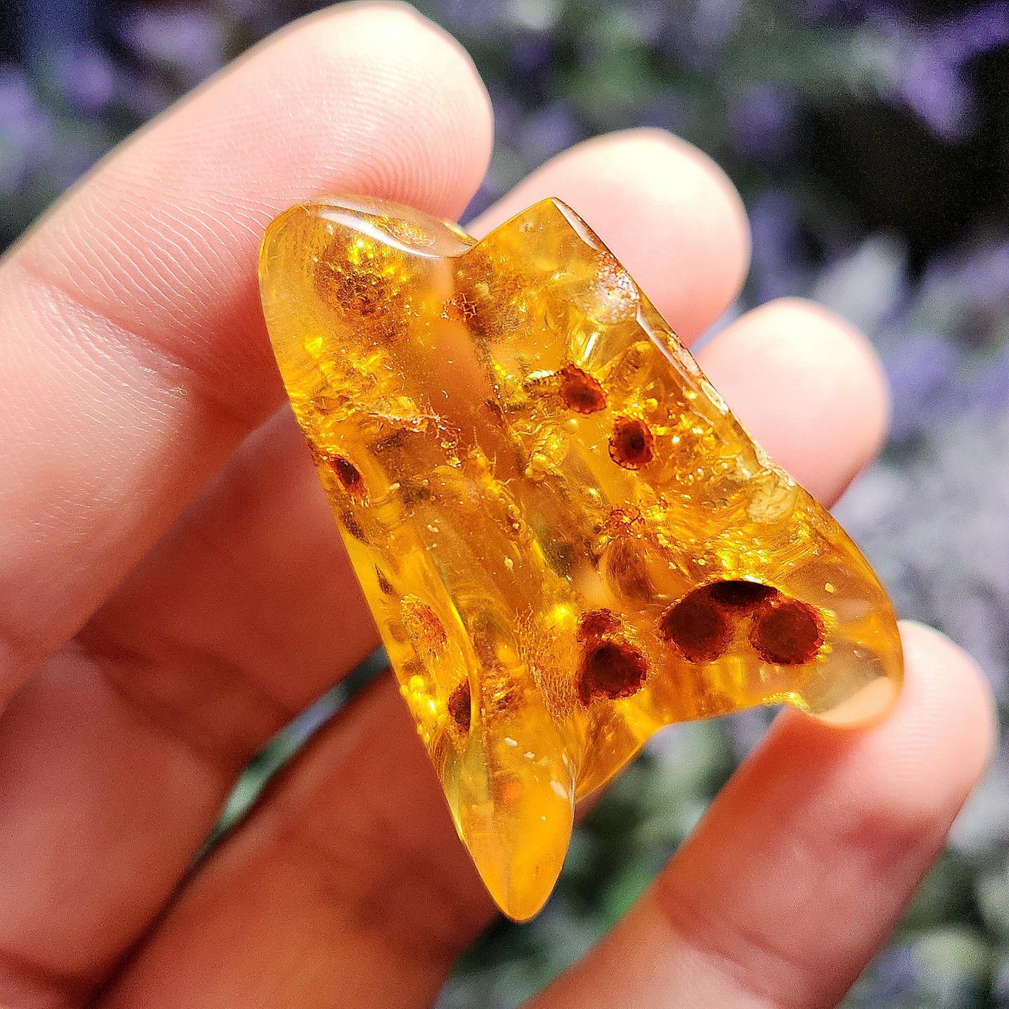 MOVING Enhydro AMBER with Bugs
