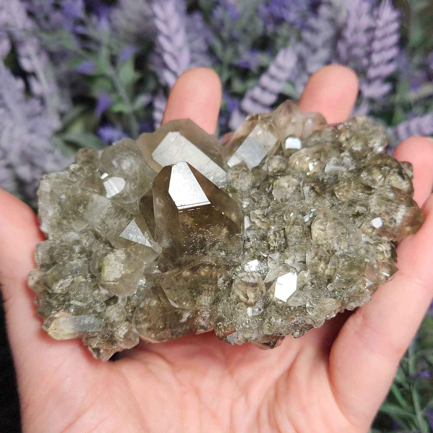 Garden Quartz Crystal