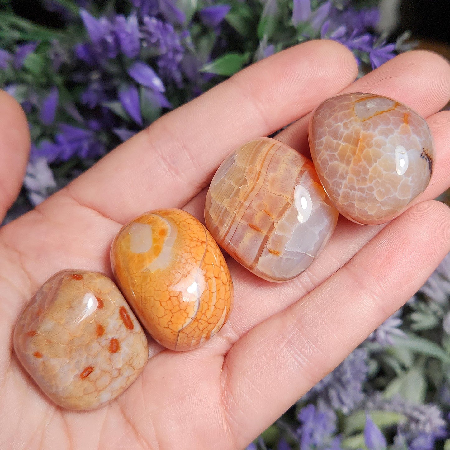 Snakeskin Carnelian