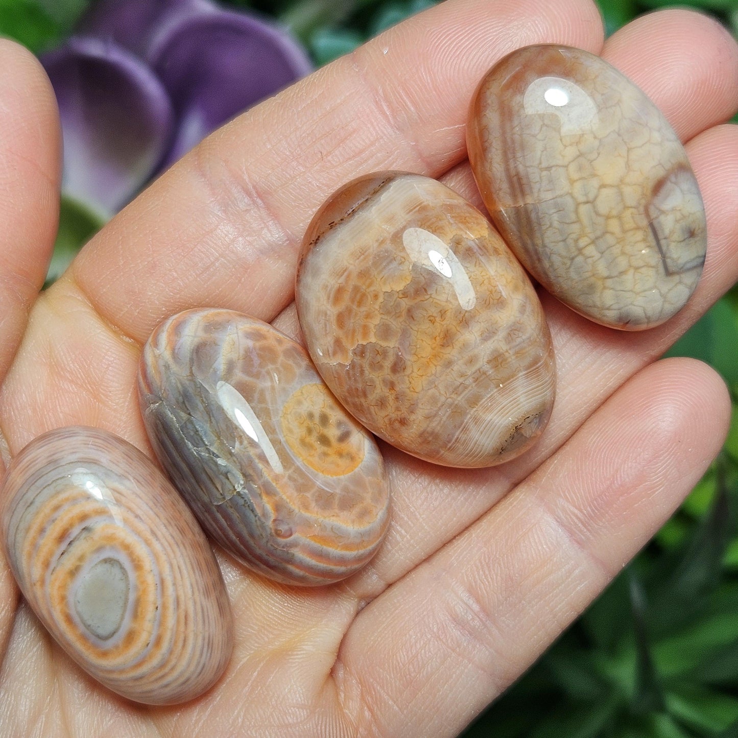 Snakeskin Agate