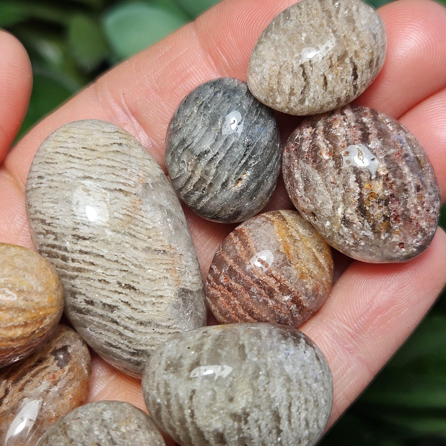 Thousand Layer Lodolite