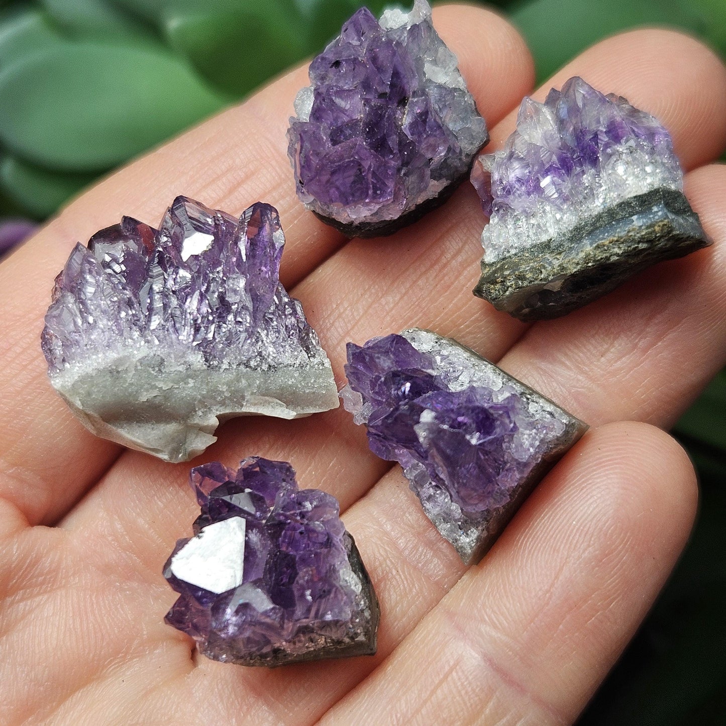 Uruguay Amethyst Cluster