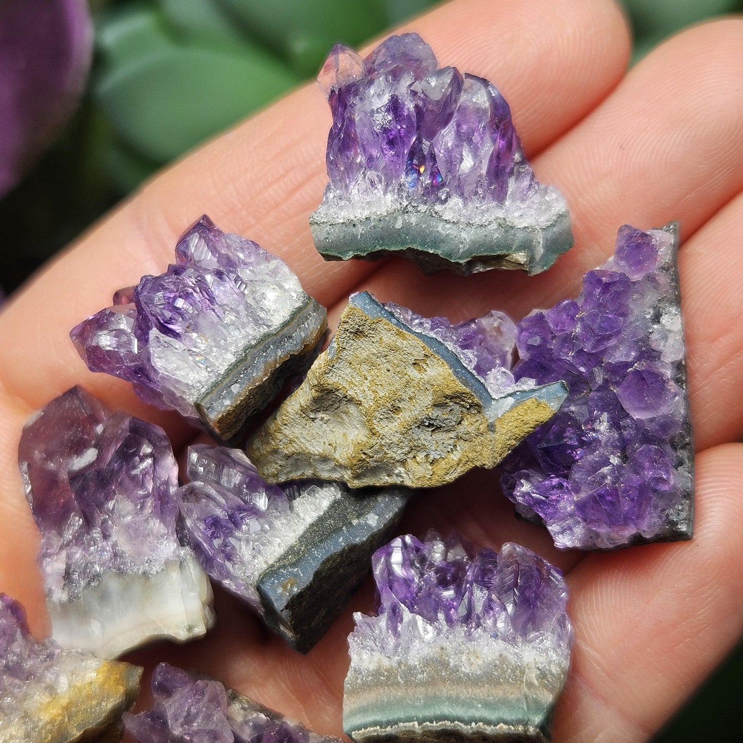 Uruguay Amethyst Cluster