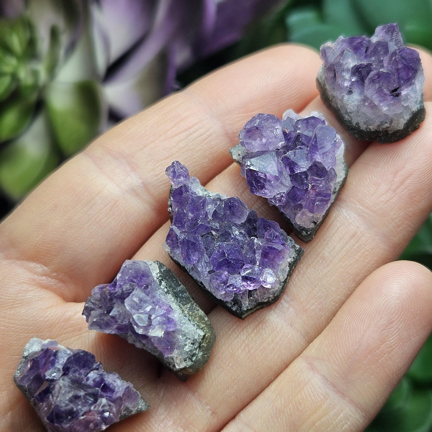 Uruguay Amethyst Cluster
