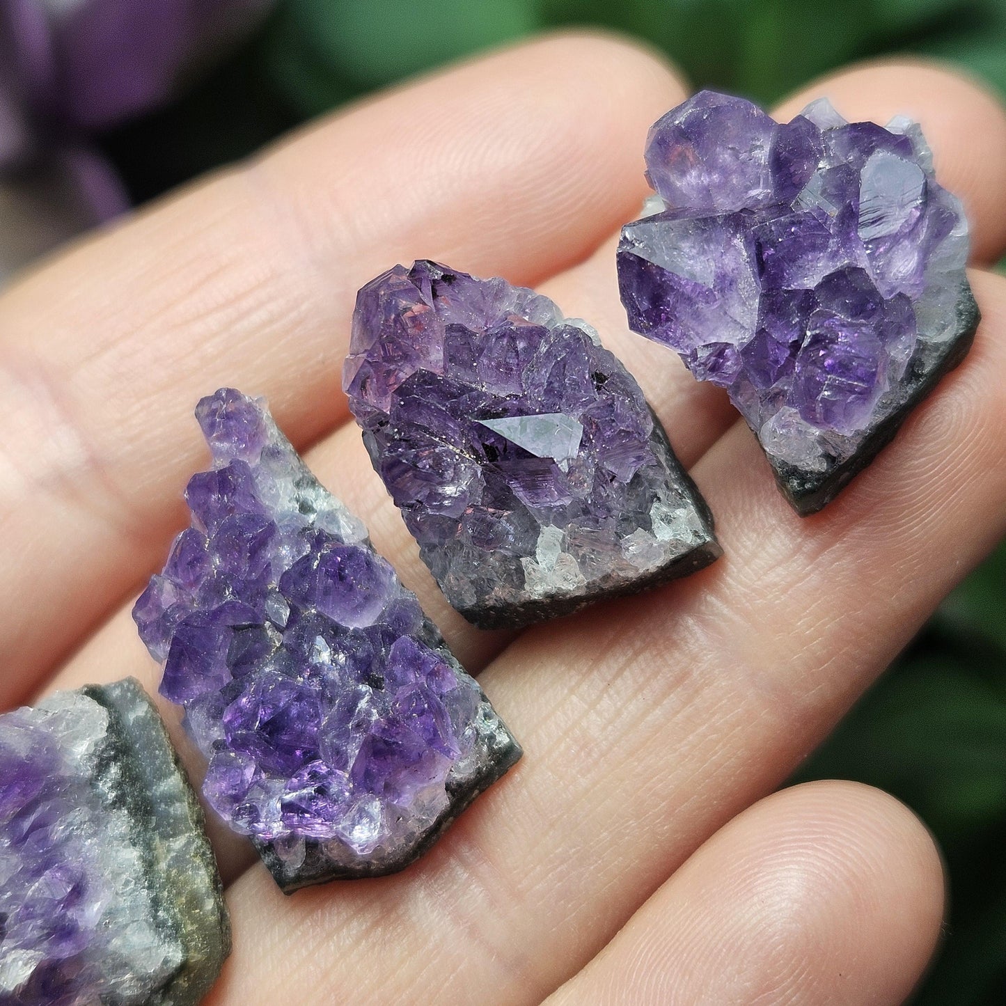 Uruguay Amethyst Cluster