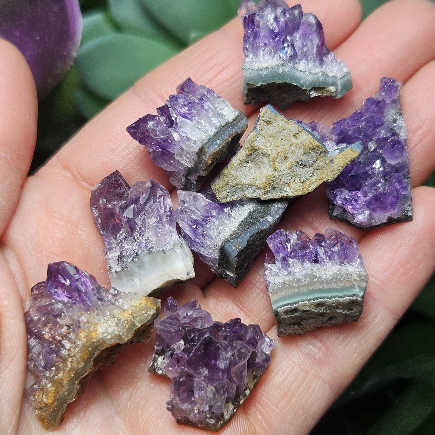 Uruguay Amethyst Cluster