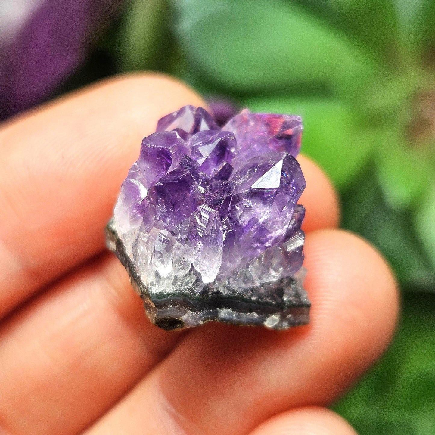 Uruguay Amethyst Cluster