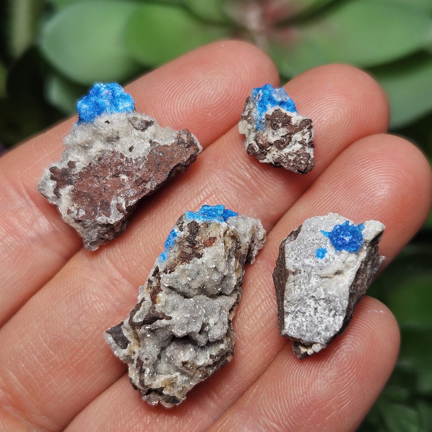 Raw Cavansite