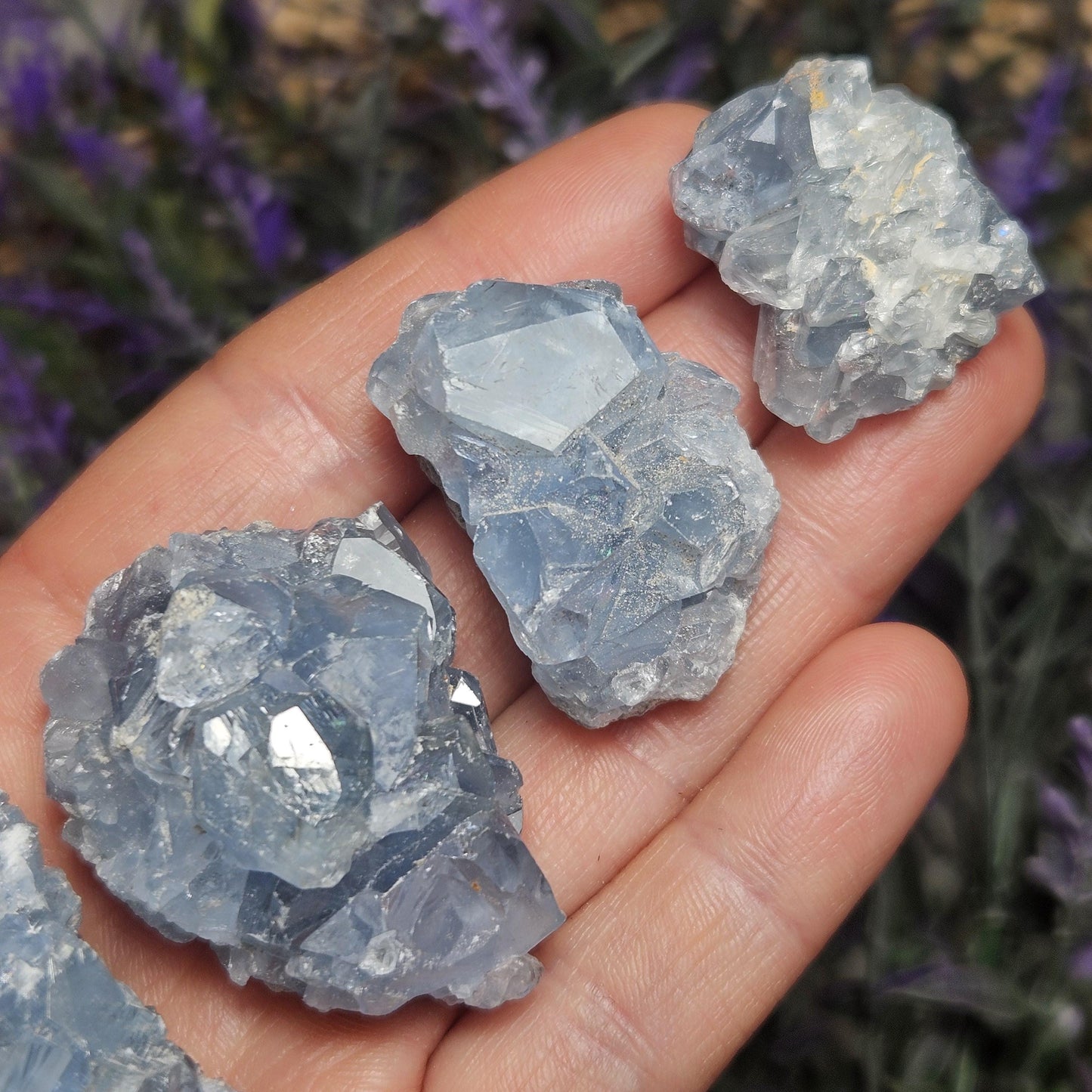 Celestite Cluster