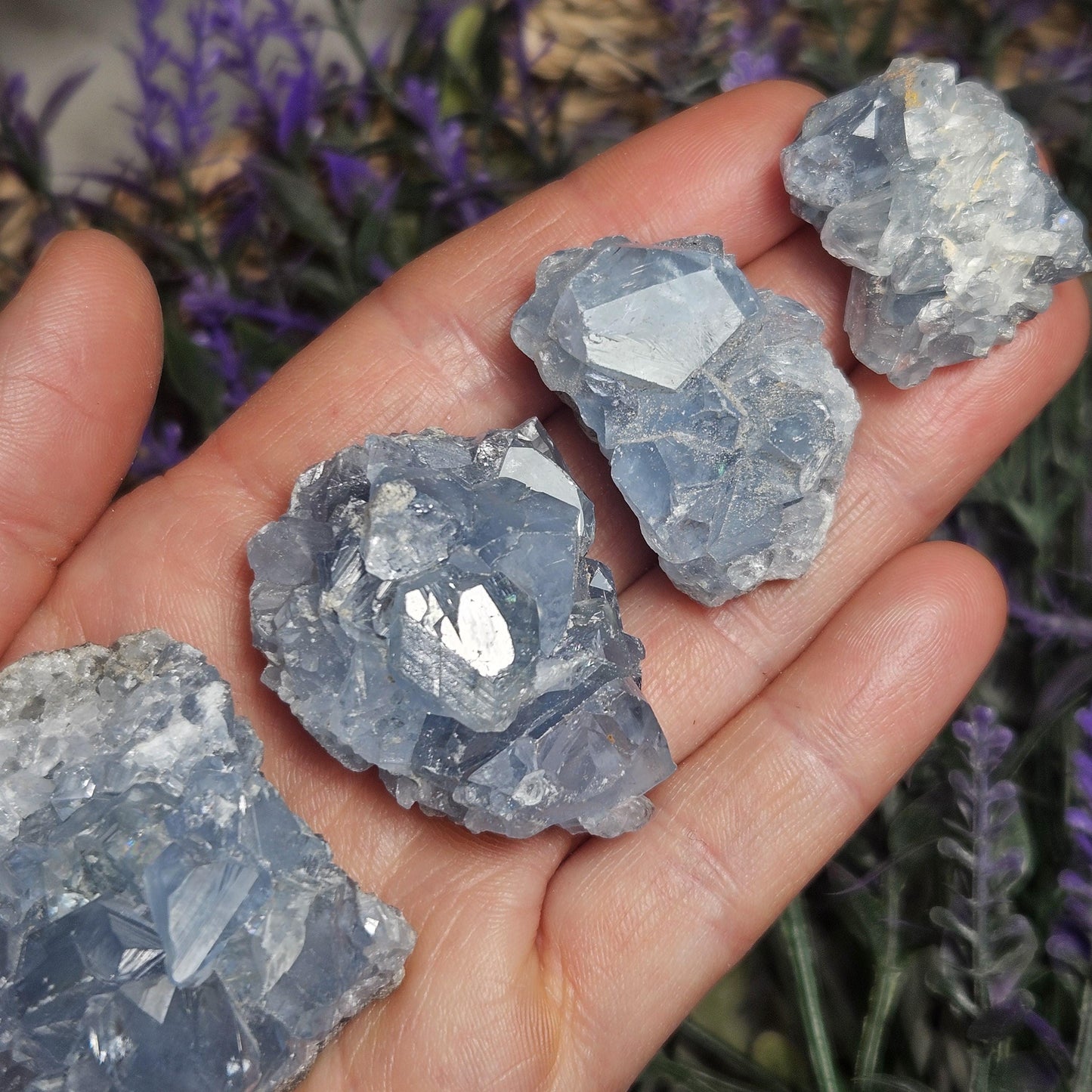 Raw Celestite Crystal