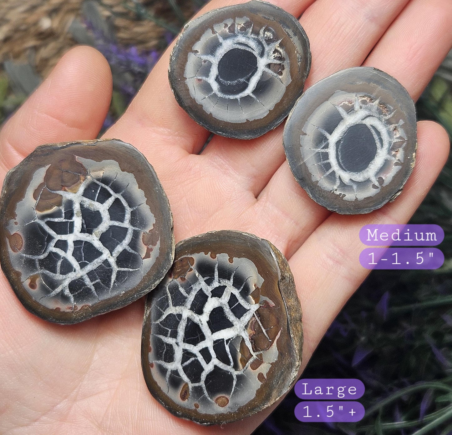 Dragon Egg Crystal Pair