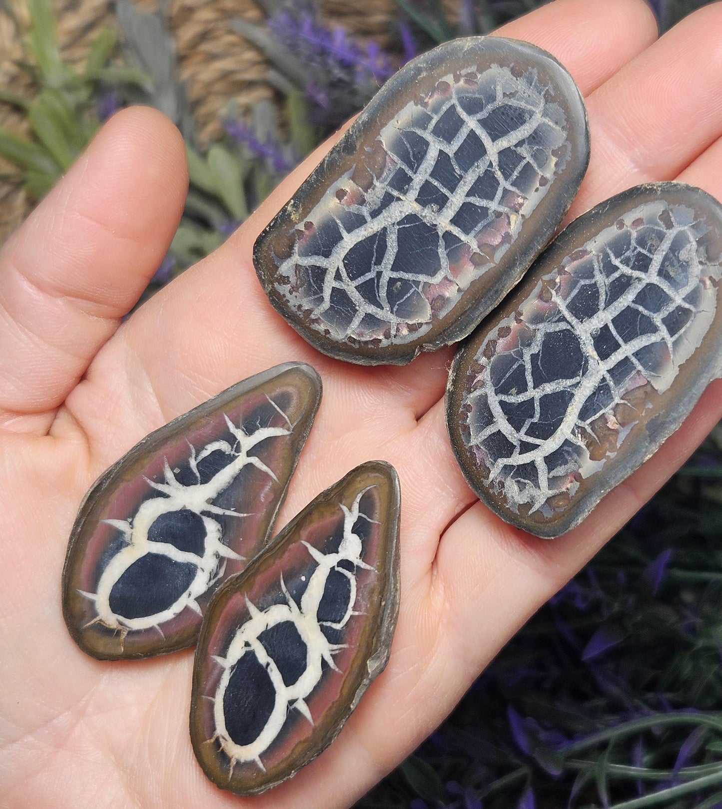 Dragon Egg Crystal Pair