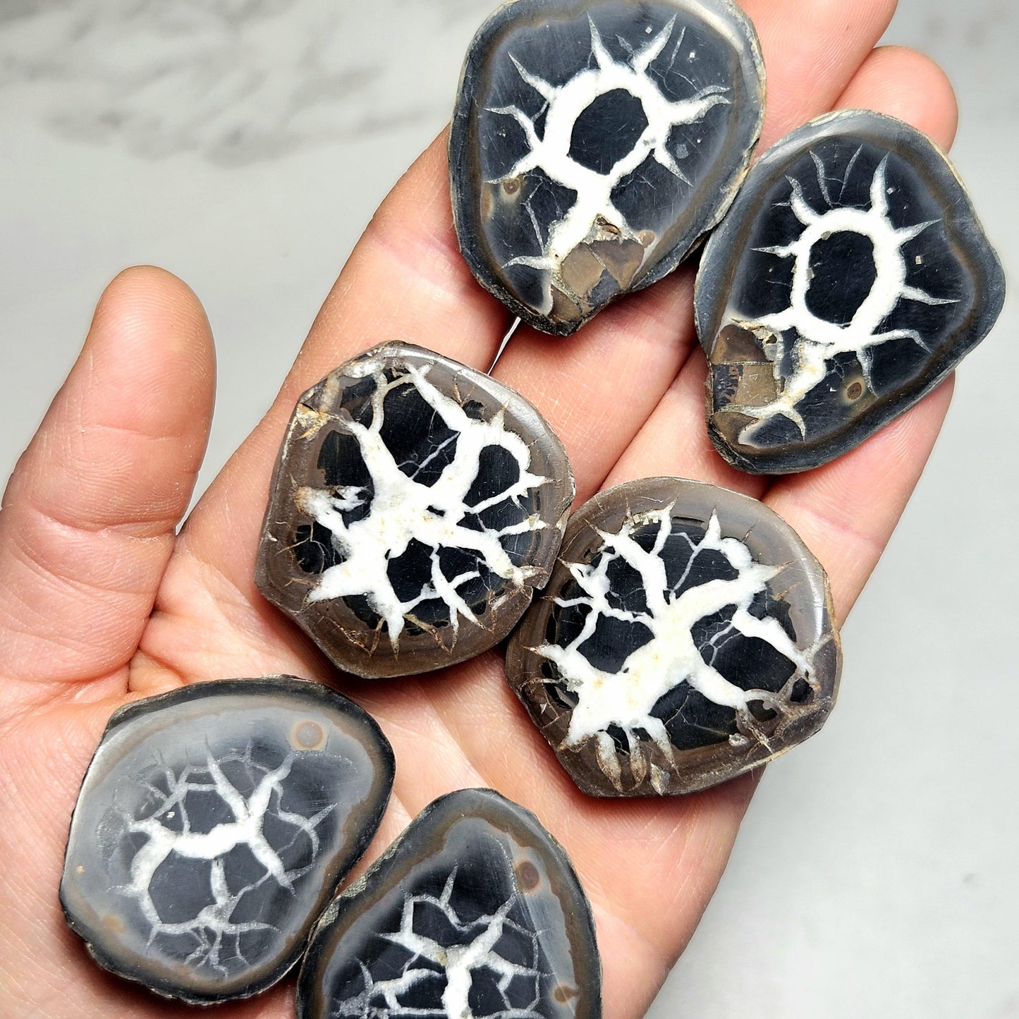 Dragon Egg Crystal Pair