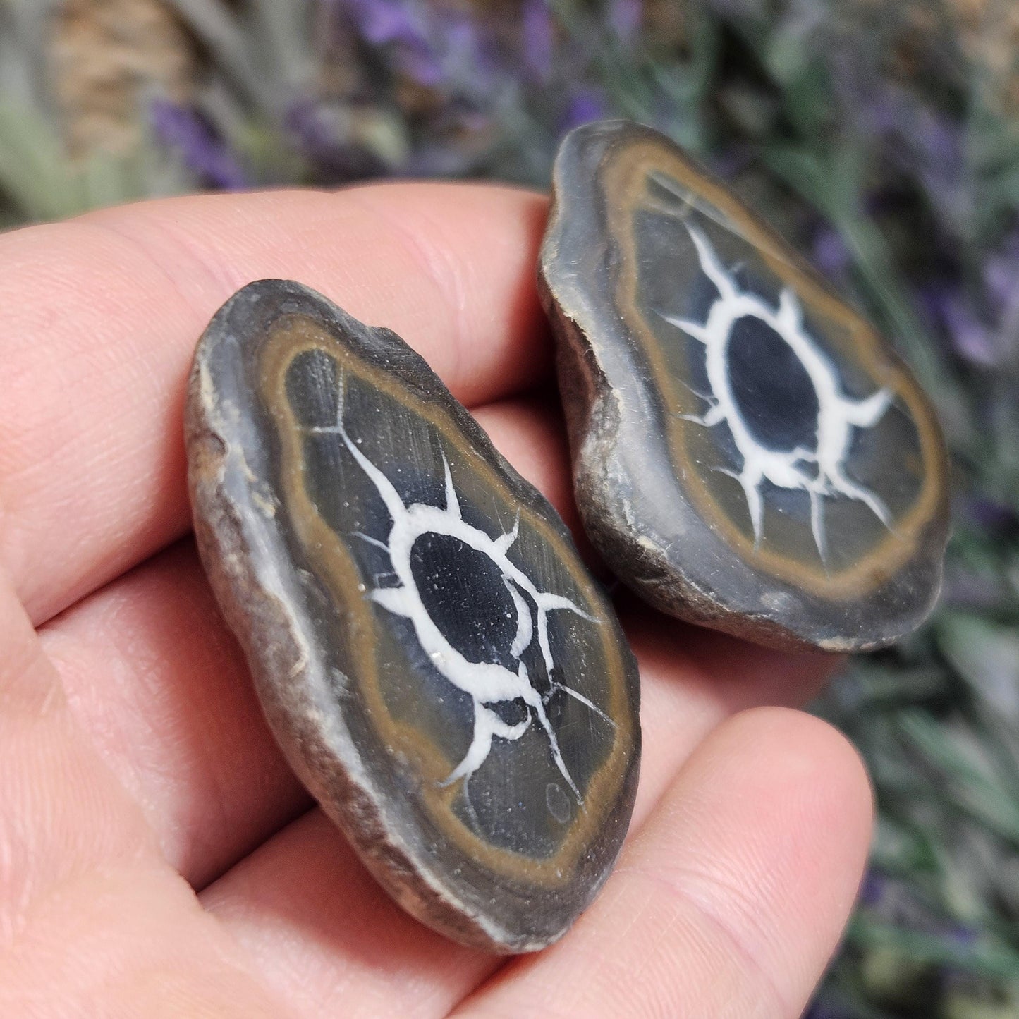 Dragon Egg Crystal Pair