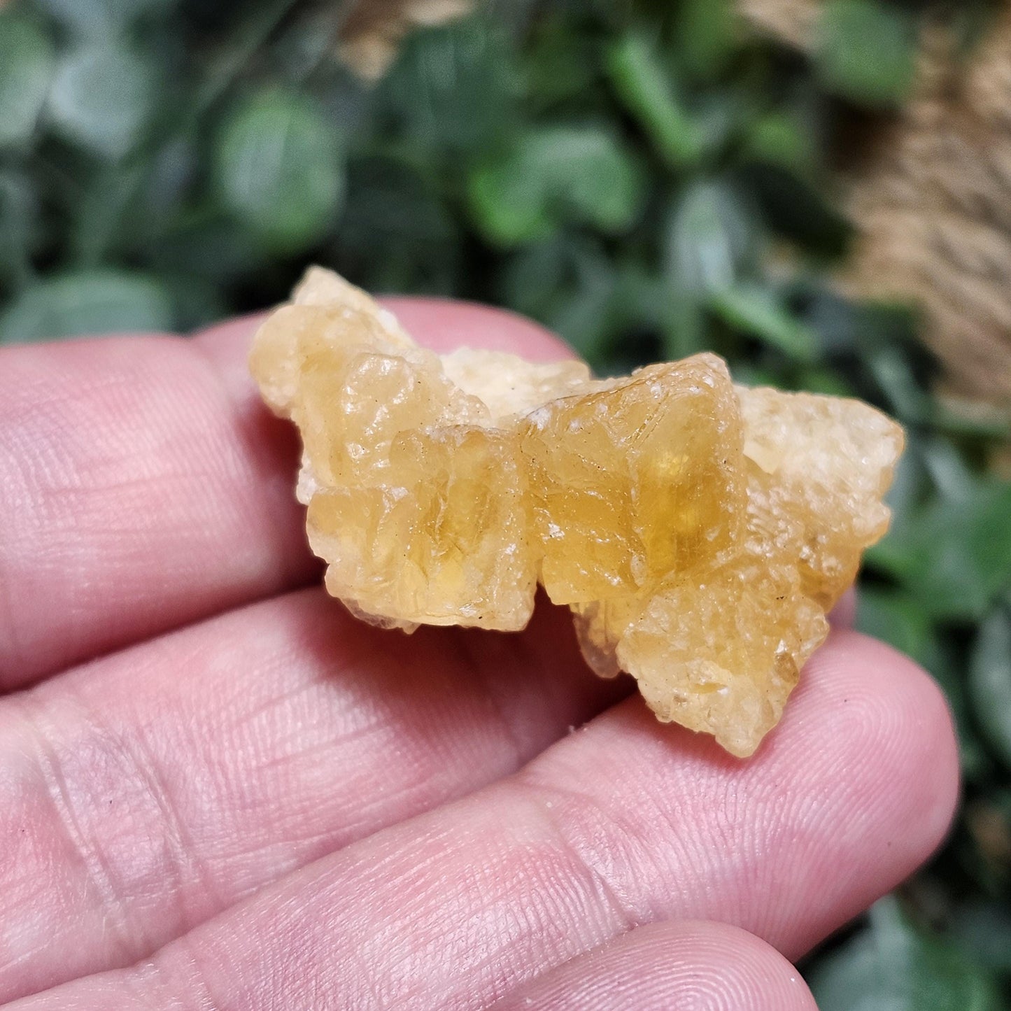 Yellow Fluorite Cluster