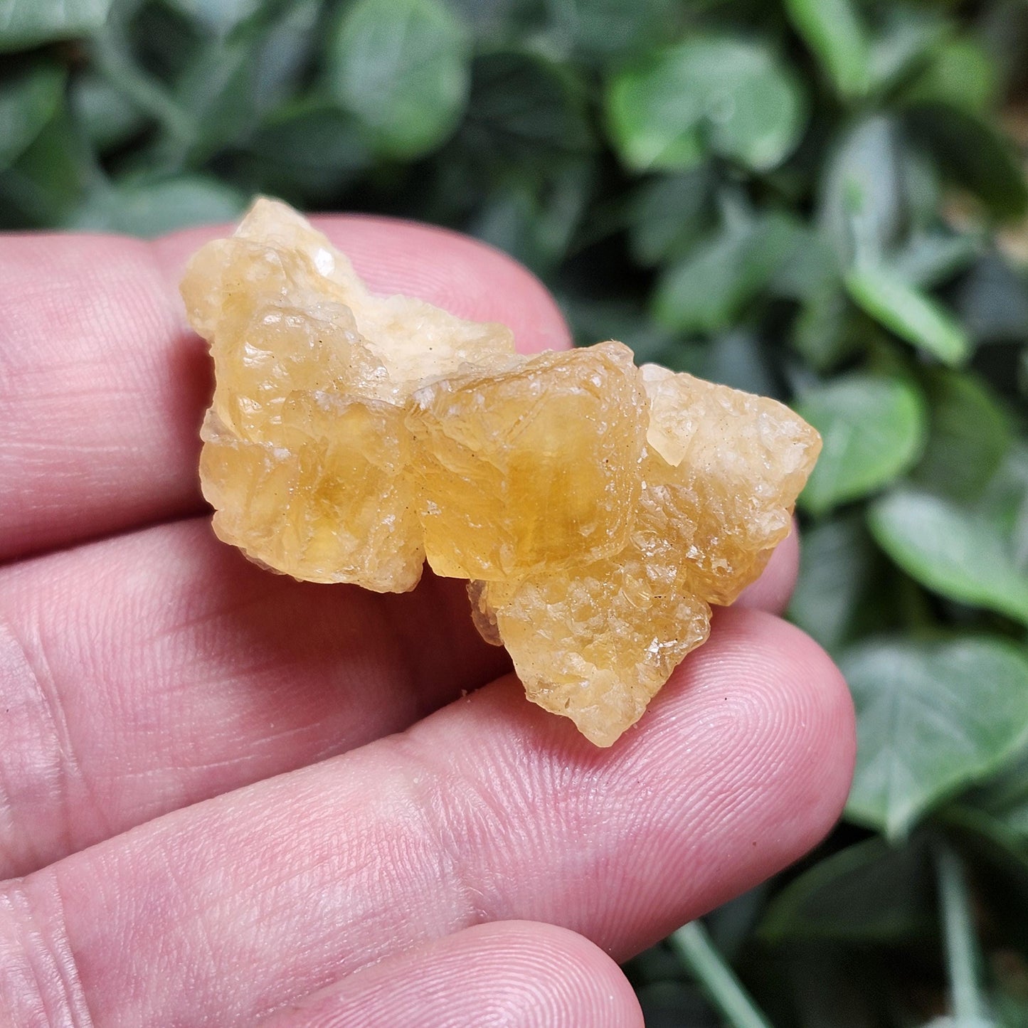 Yellow Fluorite Cluster