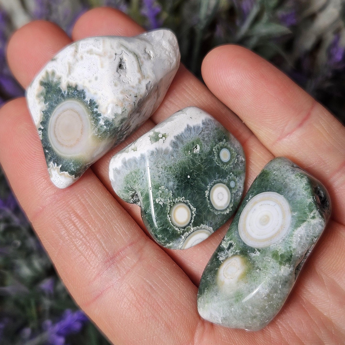VEIN 8 Ocean Jasper