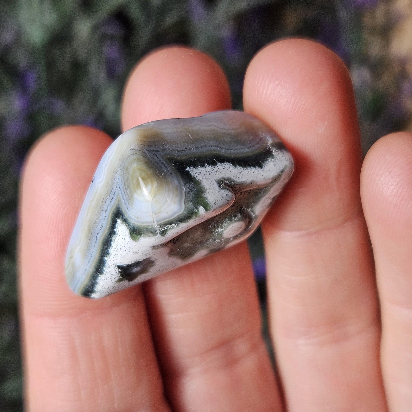 VEIN 8 Ocean Jasper