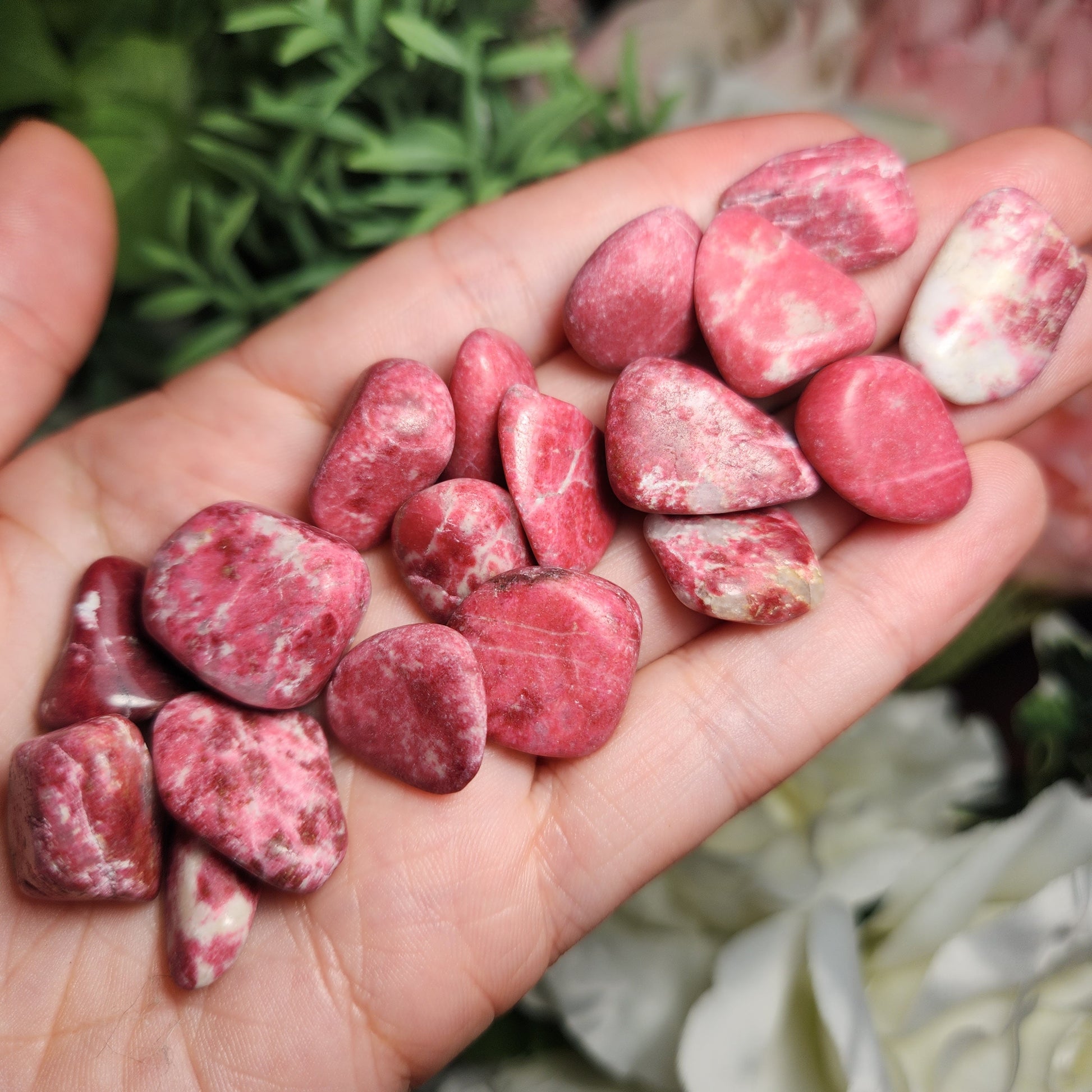 May include: A collection of tumbled red and white jasper stones