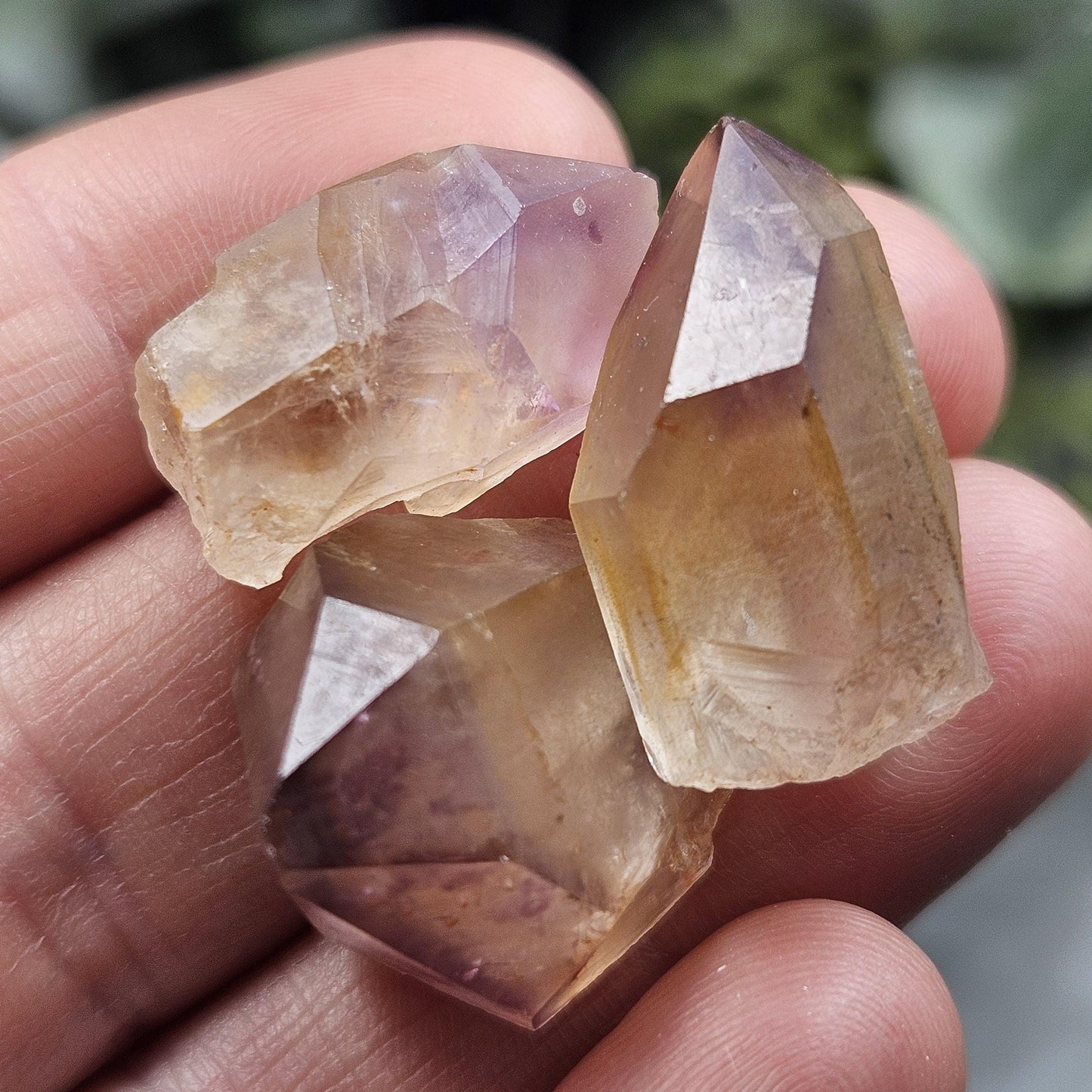 Trapiche Amethyst Quartz