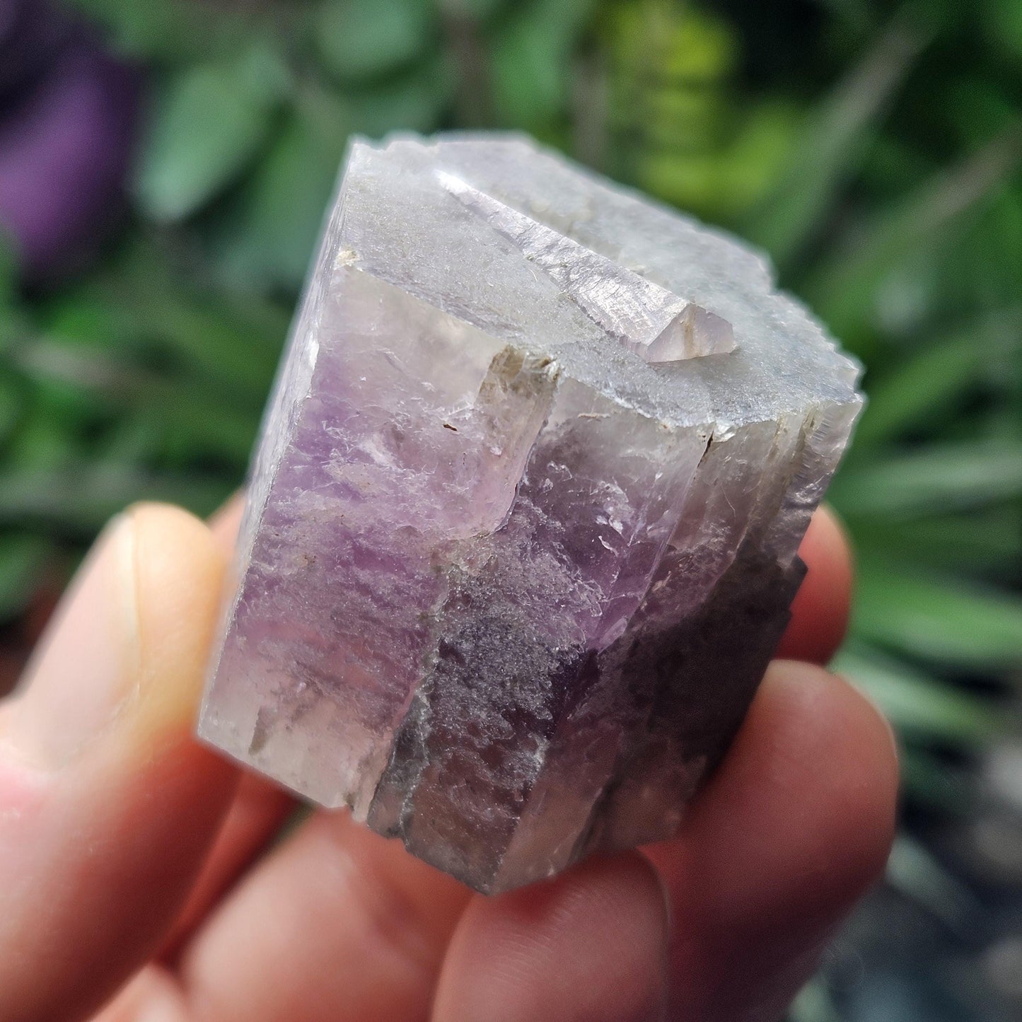 Purple Aragonite