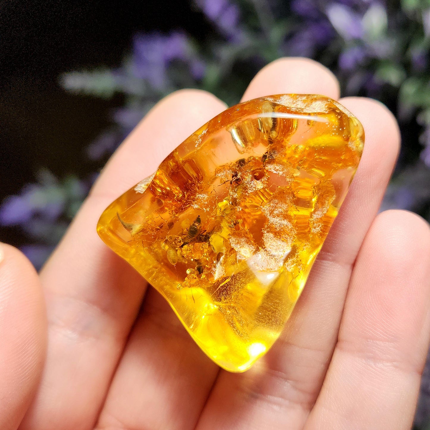Enhydro AMBER with Bugs