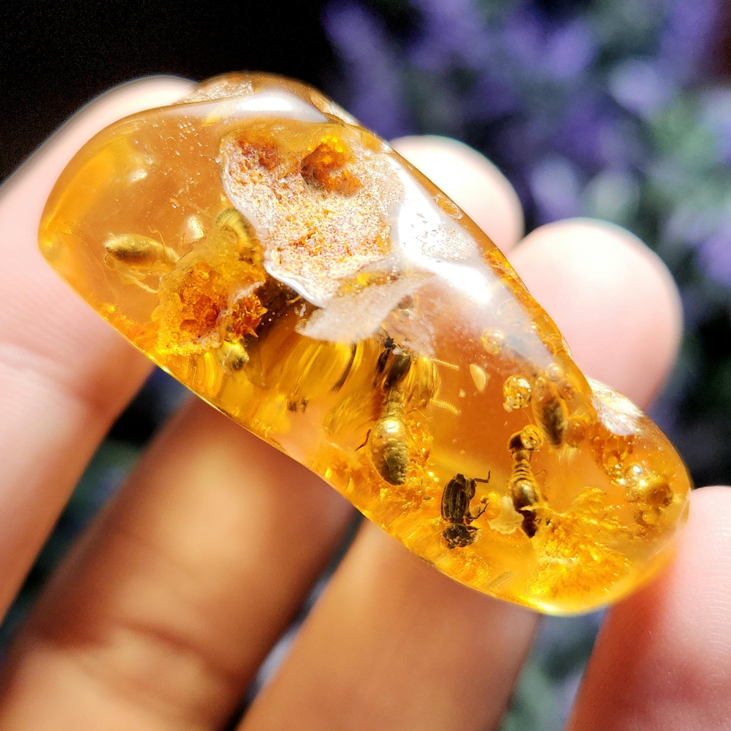 Enhydro AMBER with Bugs