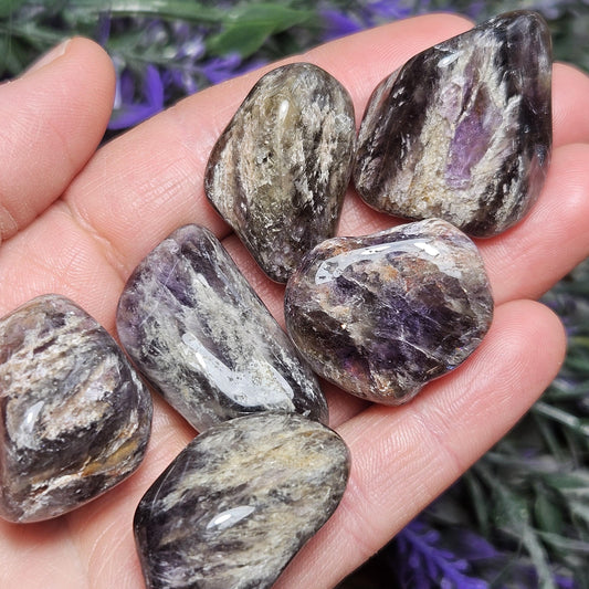 Black Amethyst Crystal