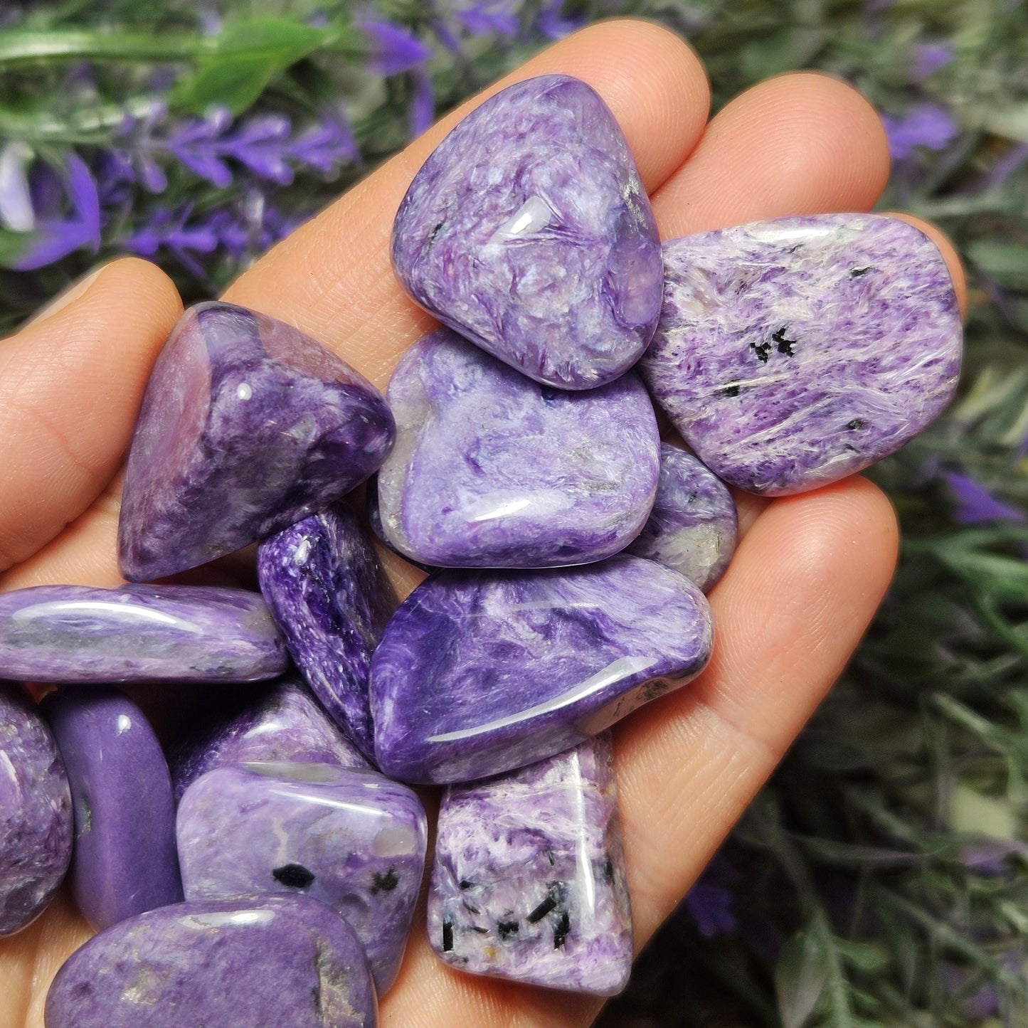 High Quality Charoite