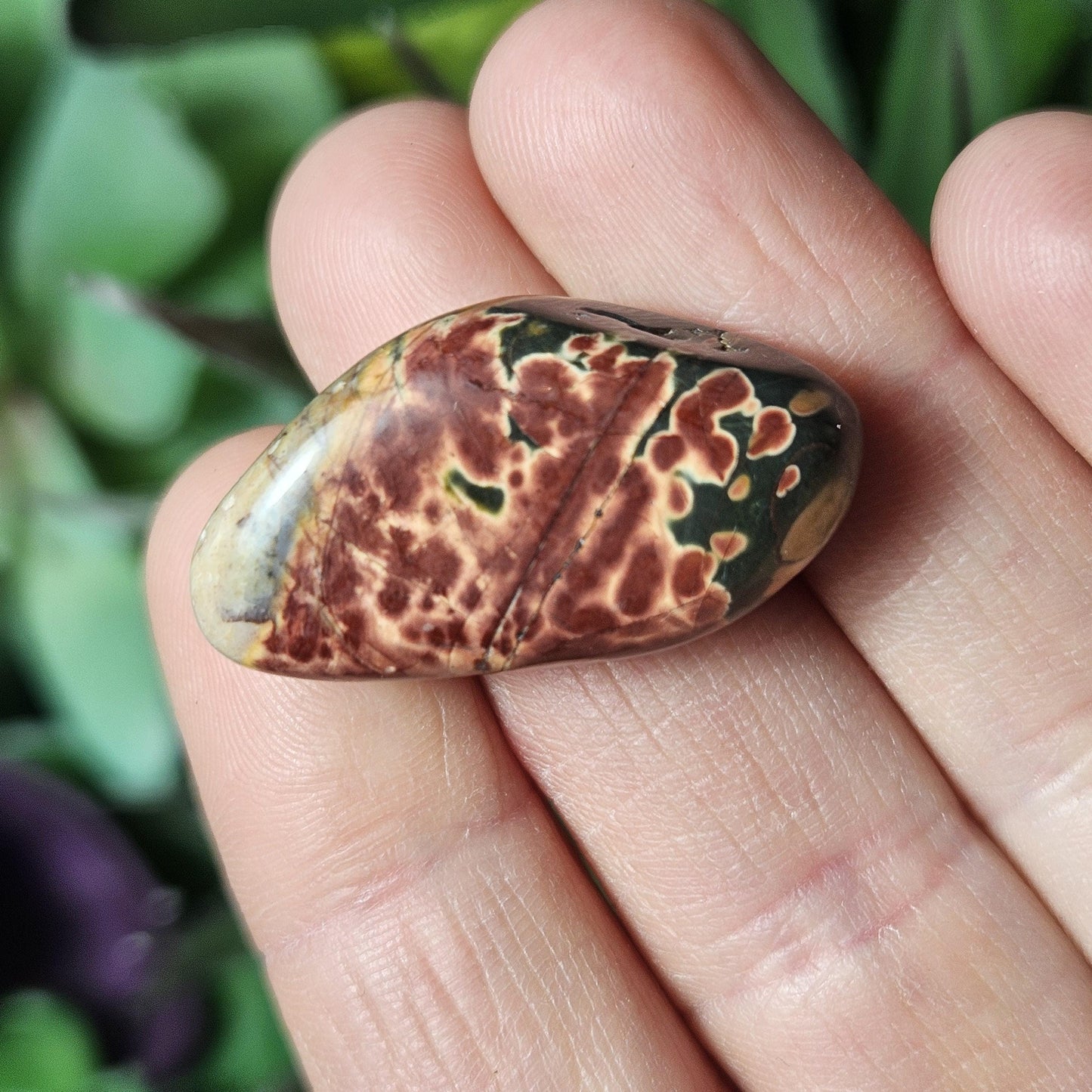 Cherry Creek Jasper Stone
