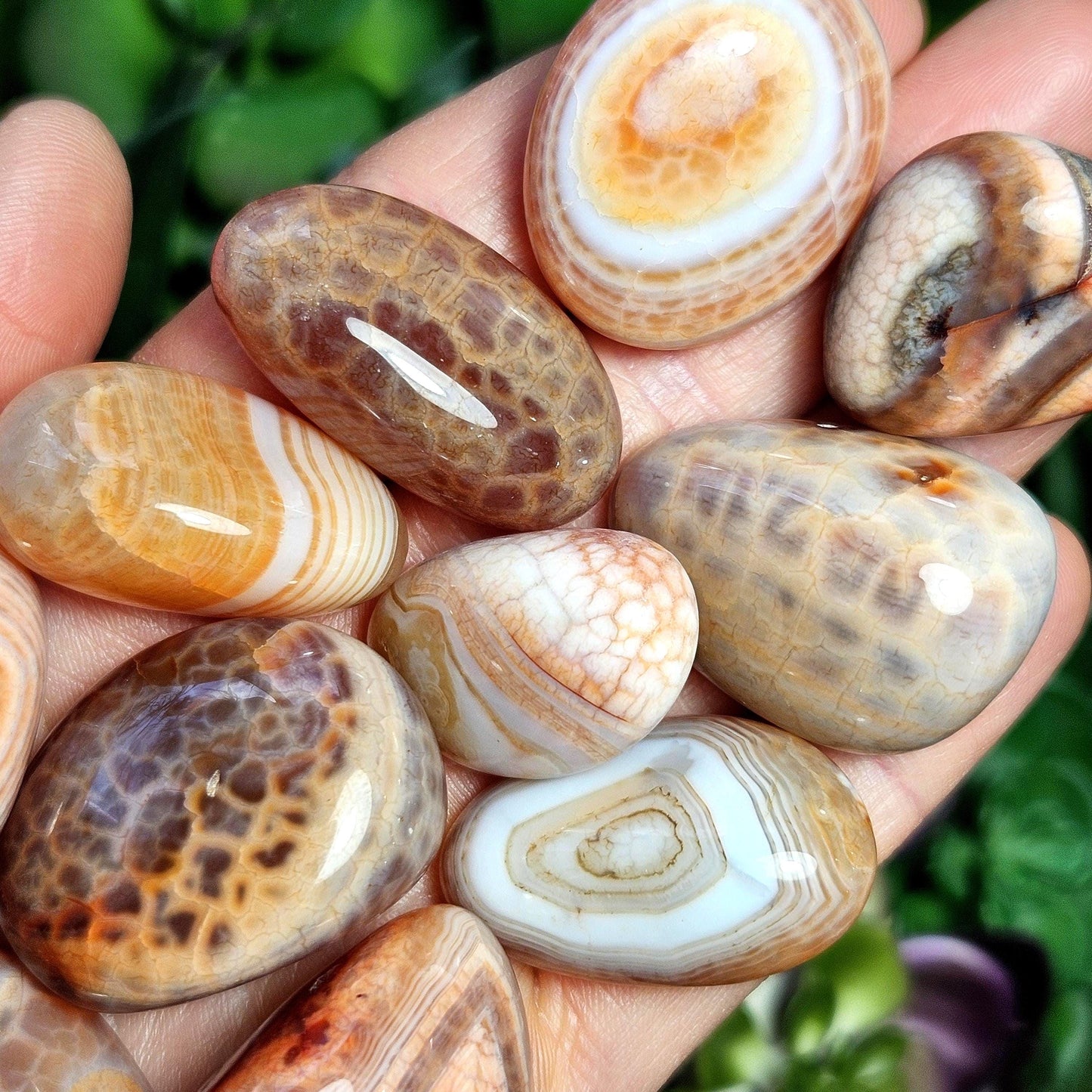Snakeskin Agate