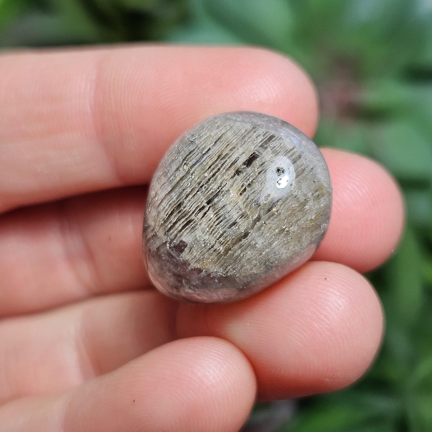 Thousand Layer Lodolite