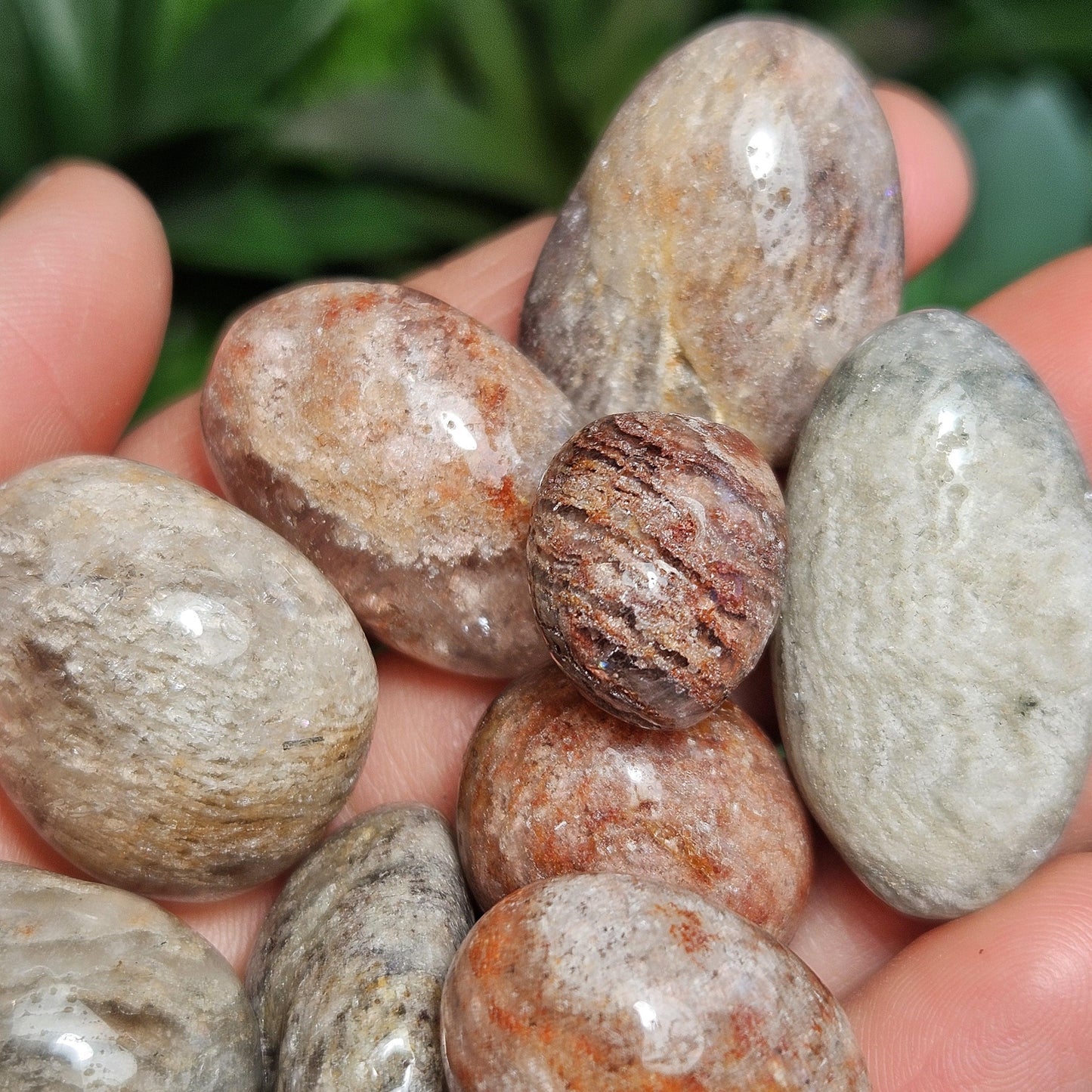Thousand Layer Lodolite