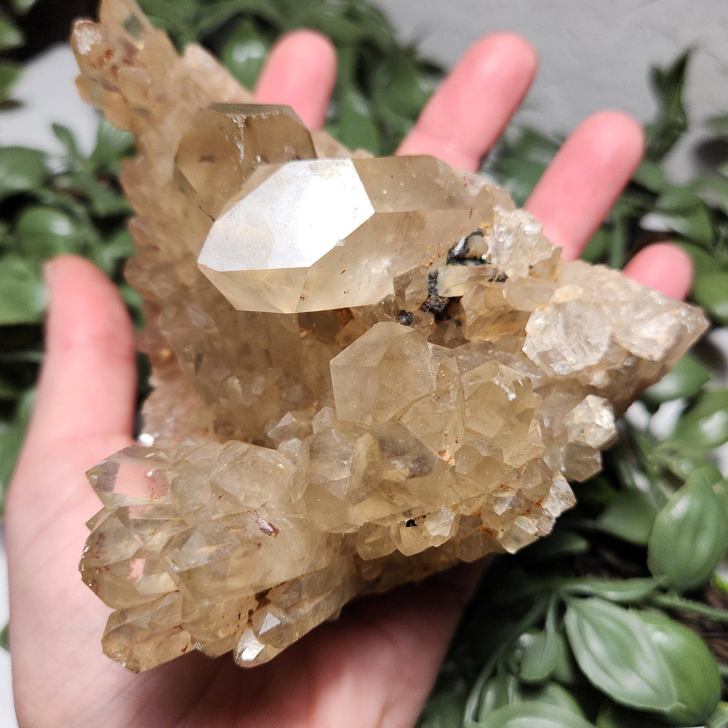 HUGE Kundalini Citrine