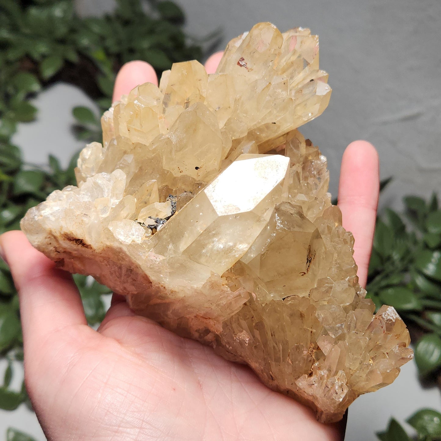 HUGE Kundalini Citrine