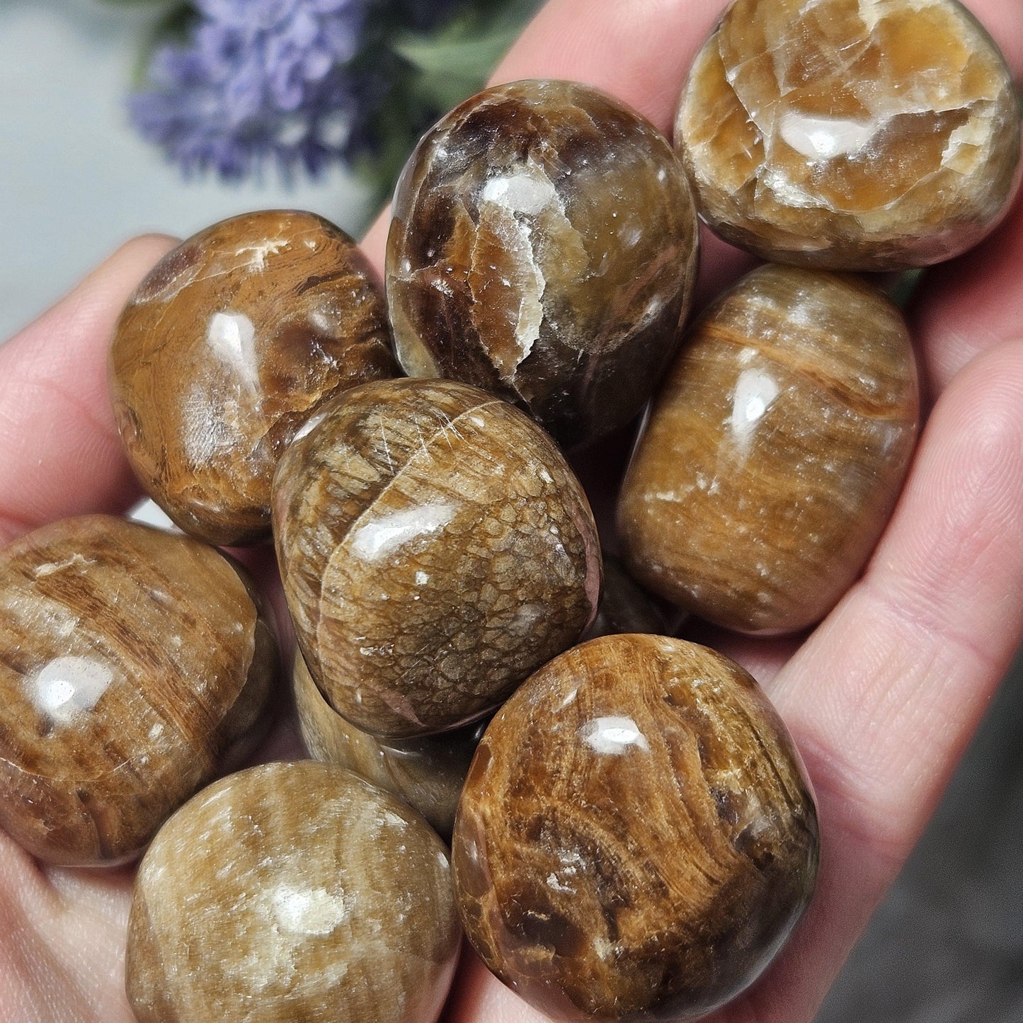 Aragonite Crystal