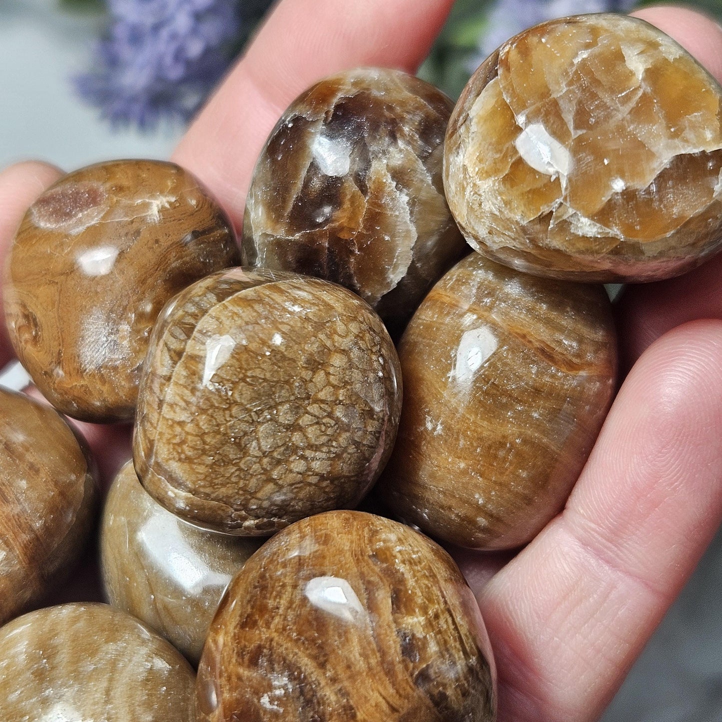 Aragonite Crystal