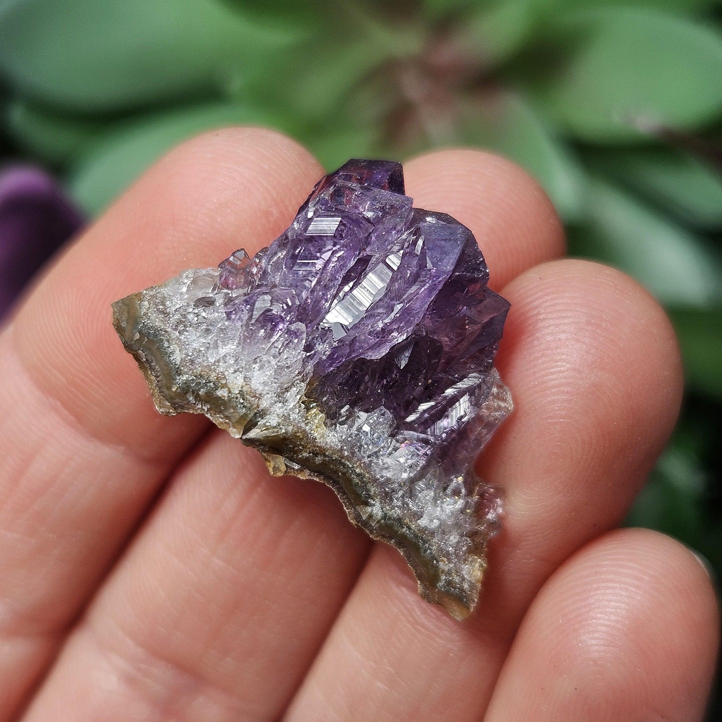 Uruguay Amethyst Cluster