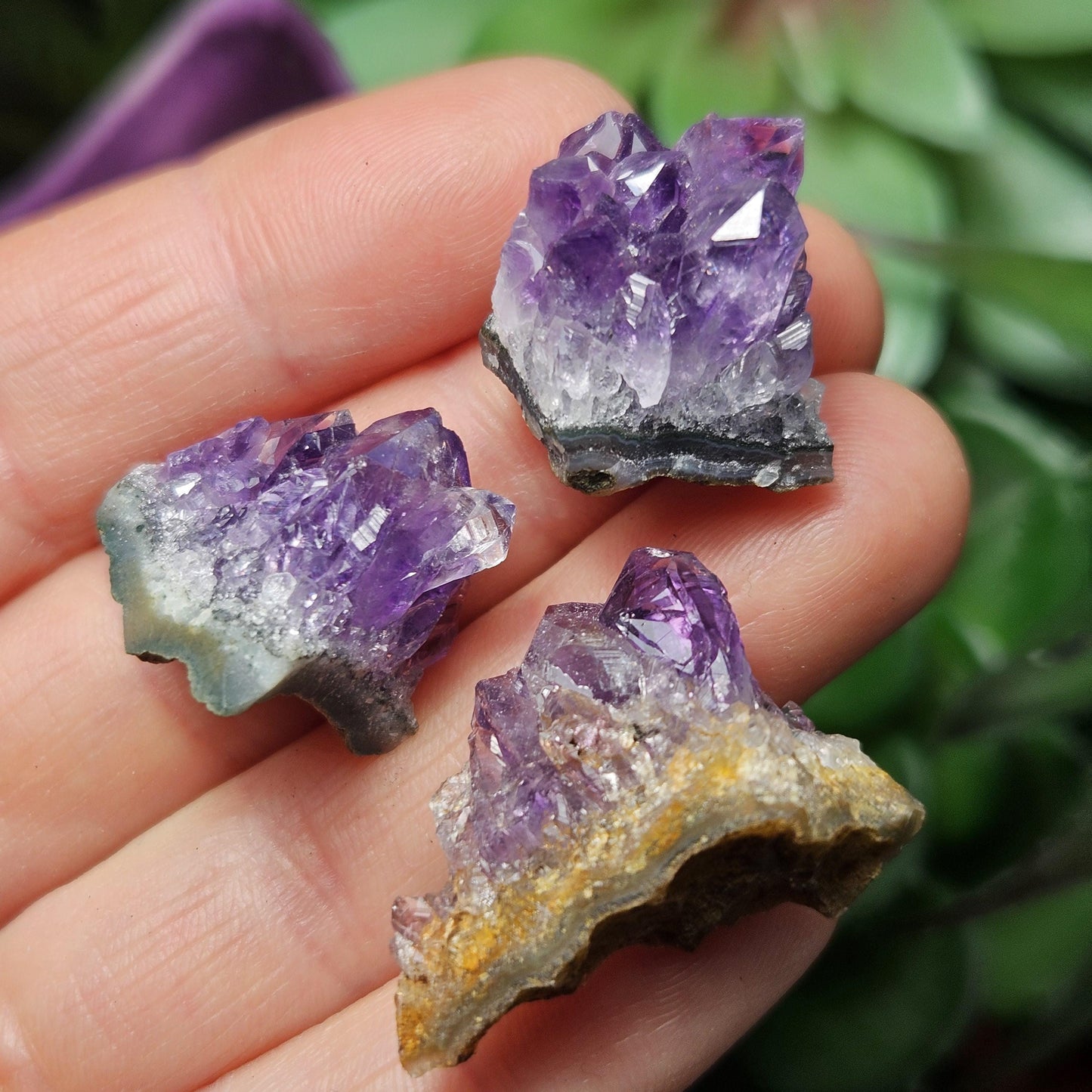 Uruguay Amethyst Cluster