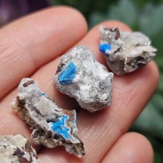 Raw Cavansite