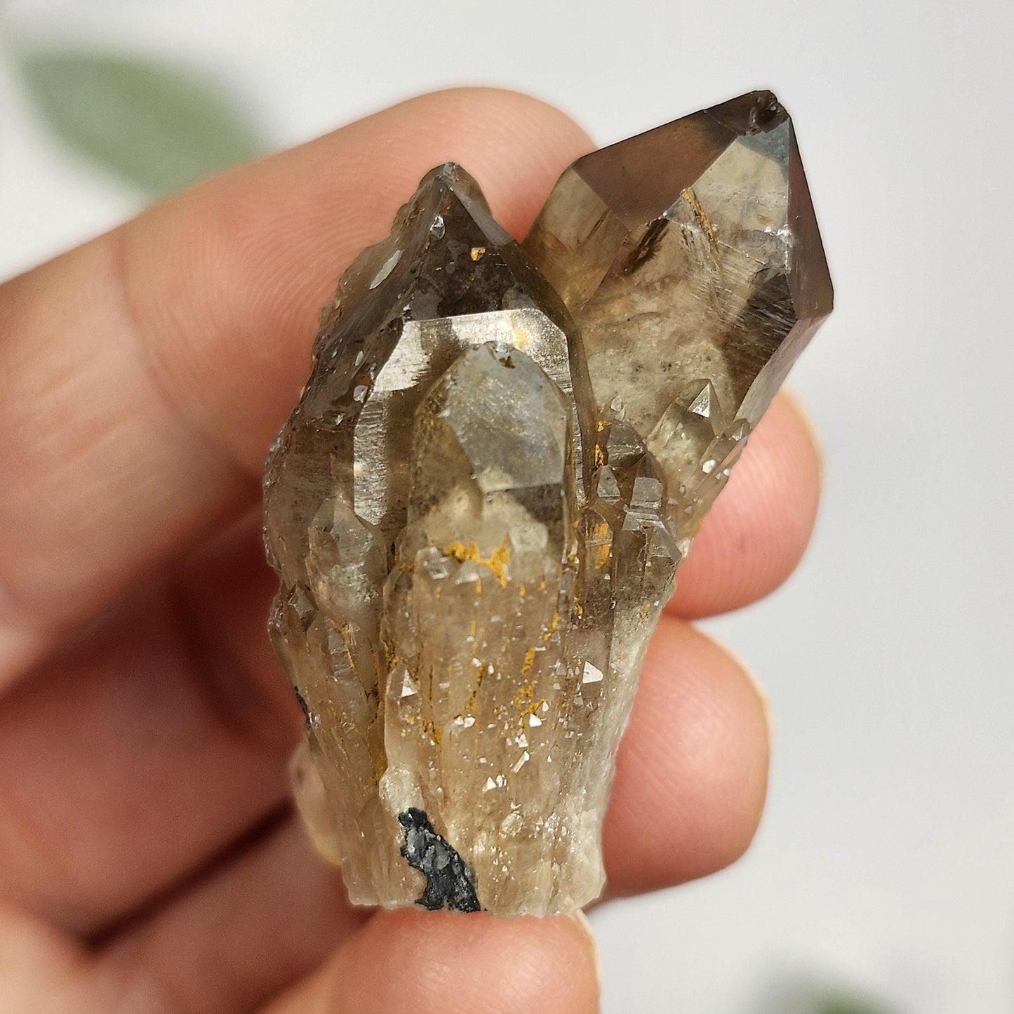 Kundalini Smoky Quartz
