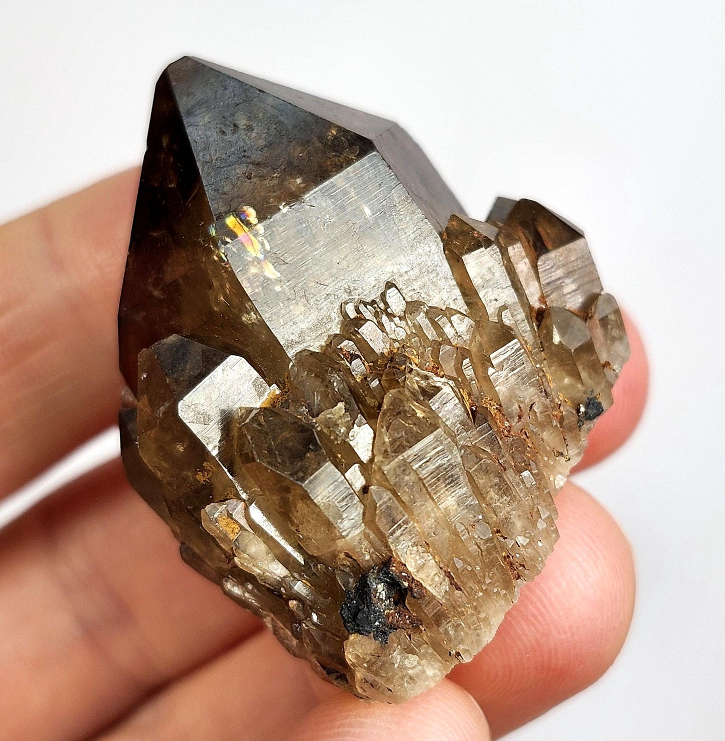 Kundalini Smoky Quartz