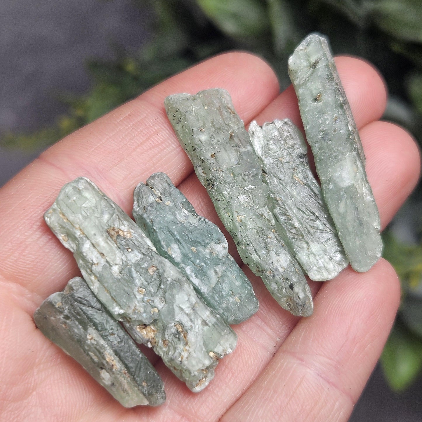 Green Kyanite Crystal