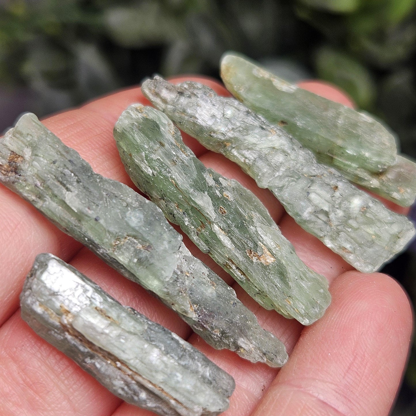 Green Kyanite Crystal