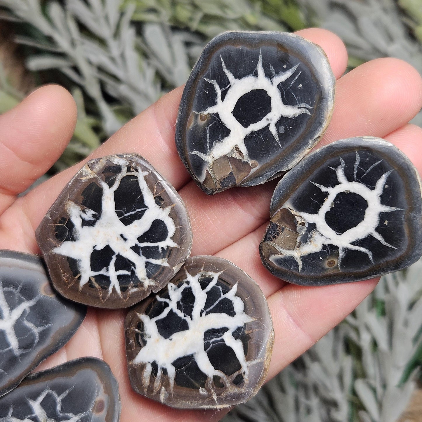 Dragon Egg Crystal Pair