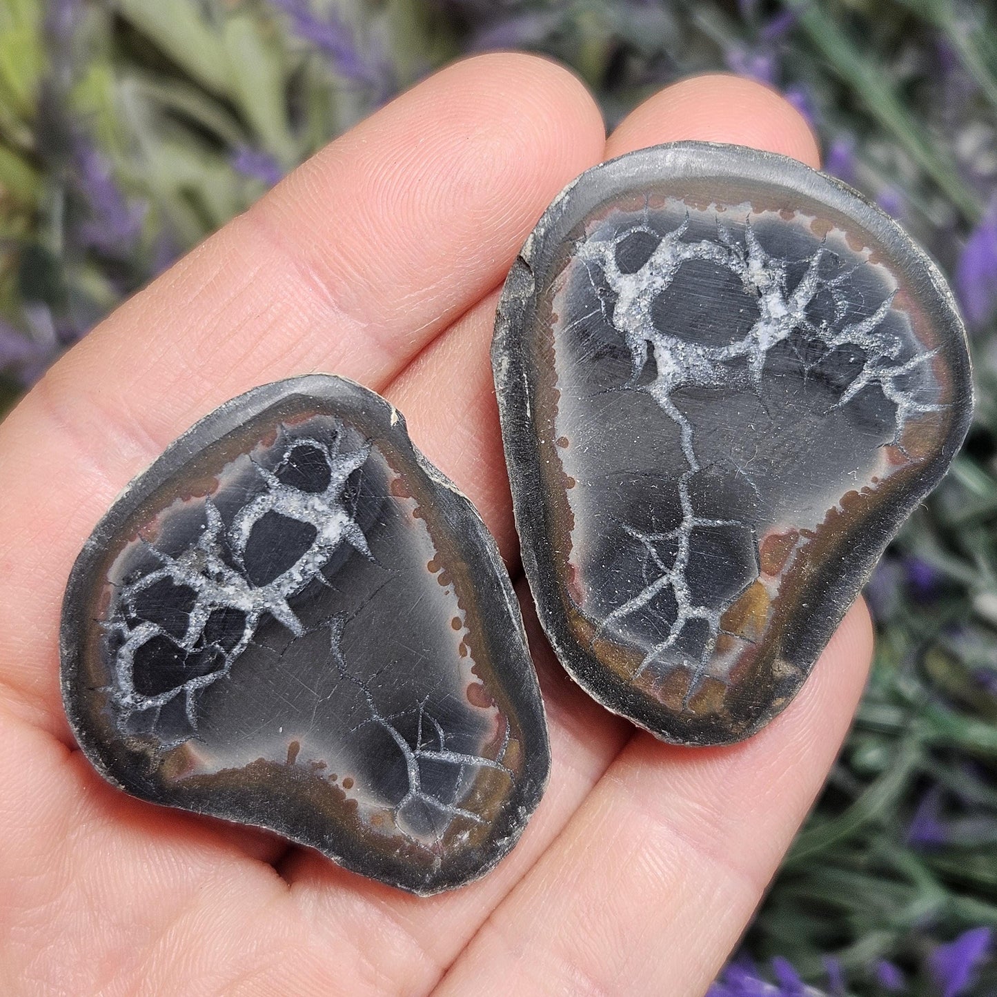 Dragon Egg Crystal Pair